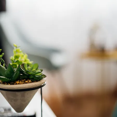 The Harmony בית הארחה 3*